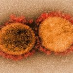 “Kịch bản ác mộng” từ biến chủng virus mới phát hiện ở California