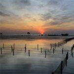 Thái Bình chung tay giữ sạch môi trường biển