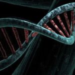 Phát hiện biến thể gene có khả năng chống lại Covid-19