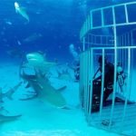 Những cuộc thám hiểm “kinh dị” hơn ngắm xác tàu Titanic: Mạo hiểm tính mạng nhưng luôn thu hút đại gia