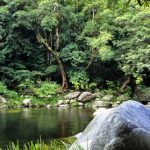 Nền kinh tế đa dạng sinh học