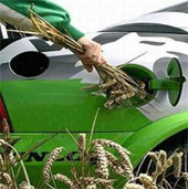 Tương lai của xe chạy bằng năng lượng “cỏ”