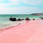 Bờ biển cát hồng tự nhiên ở Bahamas