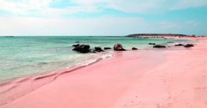Bờ biển cát hồng tự nhiên ở Bahamas