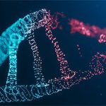 Các nhà khoa học công bố bộ gene người hoàn chỉnh đầu tiên