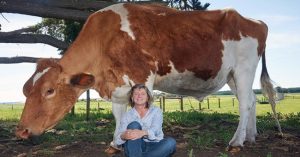 Choáng váng với con bò khổng lồ lớn nhất Australia