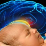 Não người phát triển nhanh nhất sau khi sinh