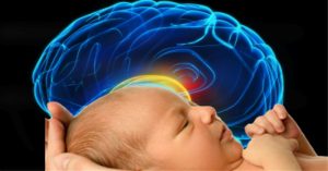 Não người phát triển nhanh nhất sau khi sinh