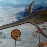 Hóa thạch loài xà đầu long 70 triệu năm tuổi giống quái vật hồ Loch Ness