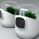 Làm sạch khí trong nhà bằng bộ lọc từ cây