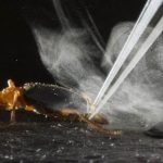 Loài bọ bị kẻ thù nuốt vẫn thoát nhờ vũ khí đặc biệt