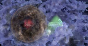 Phát hiện “hóa thạch” 13 tỉ năm tuổi của vụ nổ Big Bang