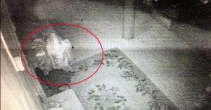 Rộ nghi vấn xác ướp trăm tuổi của nhà sư có dấu hiệu hồi sinh và đi lại
