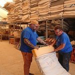 Tận dụng nệm bỏ đi trồng cây trên sa mạc