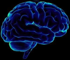 Bước đột phá đến tái tạo hệ thống con người