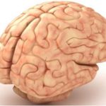 Chữa lành tổn thương não bằng vật liệu mới