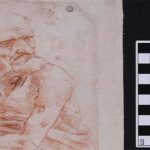 Vi khuẩn và nấm kỳ lạ được phát hiện trên bản vẽ của Leonardo da Vinci