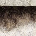 Sự thật kinh dị đằng sau bức tường của tòa nhà tự nhiên mọc lông