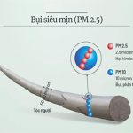 Bụi mịn là gì? Tác hại khi hít phải bụi mịn trong không khí