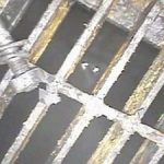 Phát hiện nồng độ phóng xạ siêu cao tại Fukushima 1