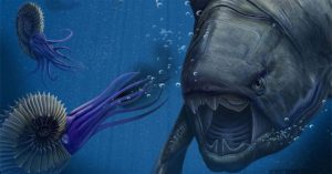Cá Dunkleosteus: “Kẻ hủy diệt” của kỷ Devon
