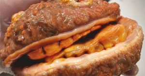 Cá kỳ dị có răng và giống bánh mì kẹp thịt xuất hiện ở Nga