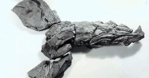 Phát hiện loài cá mập 324 triệu tuổi “sinh ra từ cõi chết” ở Mỹ