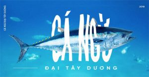 Các nhà khoa học đang thuần hóa cá ngừ vây xanh để có đủ nguyên liệu làm sushi