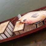 Những sinh vật khủng từng dính lưới ngư dân Việt Nam