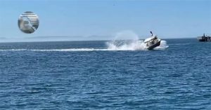 Cá voi húc tung thuyền chở khách bay lên không trung