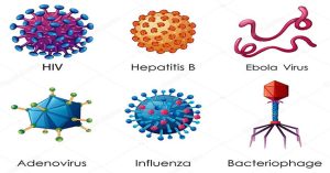 Virus cổ xưa ẩn trong gene có thể đóng vai trò quan trọng đối với những cơn nghiện