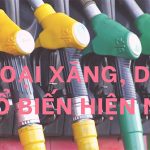 Tìm hiểu về những loại xăng, dầu phổ biến nhất hiện nay