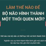 Làm thế nào để bộ não hình thành một thói quen mới?