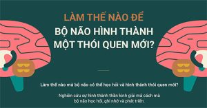 Làm thế nào để bộ não hình thành một thói quen mới?