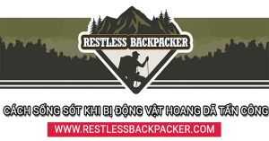 Cách sống sót khi đối mặt với động vật hoang dã nguy hiểm