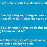 Phòng chống virus Vũ Hán: BS Phạm Nguyên Quý chỉ ra tác hại khi hắt xì lấy bàn tay che mũi, miệng