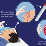 Hướng dẫn tự lấy mẫu test nhanh Covid-19 tại nhà