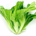 Món ăn vị thuốc từ cải bẹ xanh