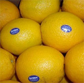 Lật tẩy hoa quả Trung Quốc mác “xịn”
