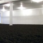 Căn phòng kỳ lạ chứa tới… 140 tấn bụi bẩn