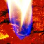 Bí ẩn cánh đồng “quỷ” ở Trung Quốc