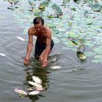Mỹ tham gia xử lý dioxin tại sân bay Đà Nẵng