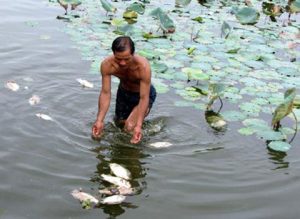 Mỹ tham gia xử lý dioxin tại sân bay Đà Nẵng