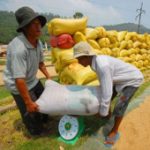 Lần đầu tiên công bố danh mục sản phẩm quốc gia