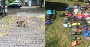 Dân Berlin bất ngờ khi phát hiện danh tính của kẻ trộm giày dép siêu hạng