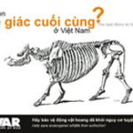 Tưởng niệm tê giác bằng bưu thiếp