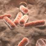 Chất carotenoid trong ruột liên quan đến đột quỵ