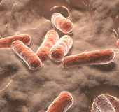 Chất carotenoid trong ruột liên quan đến đột quỵ
