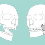 Phát hiện cấu trúc chưa từng thấy trong cơ thể người