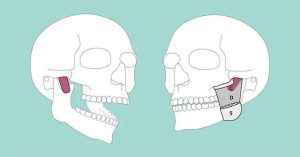 Phát hiện cấu trúc chưa từng thấy trong cơ thể người